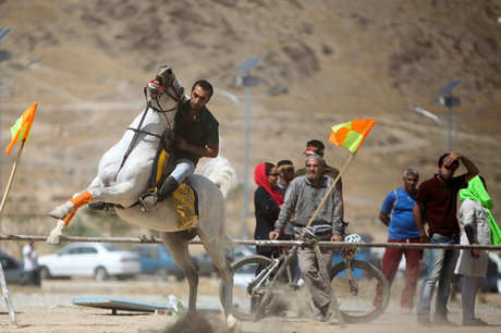 نجات تماشاگر 6 ساله از زیر پای اسب‌ها